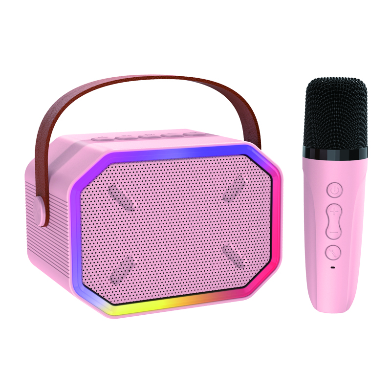 Haut-parleur Bluetooth portable avec 2 microphones sans fil, jouets cadeaux d'anniversaire pour filles âgées de 4, 5, 6, 7, 8,9, 10, 11, 12 ans et plus 