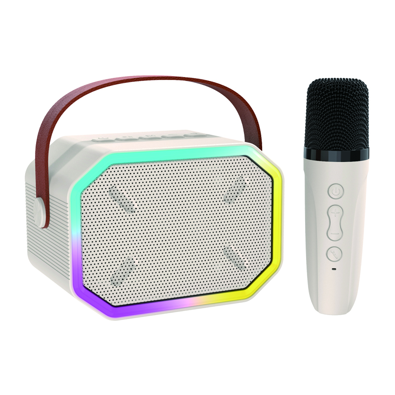 Haut-parleur Bluetooth portable avec 2 microphones sans fil, jouets cadeaux d'anniversaire pour filles âgées de 4, 5, 6, 7, 8,9, 10, 11, 12 ans et plus 