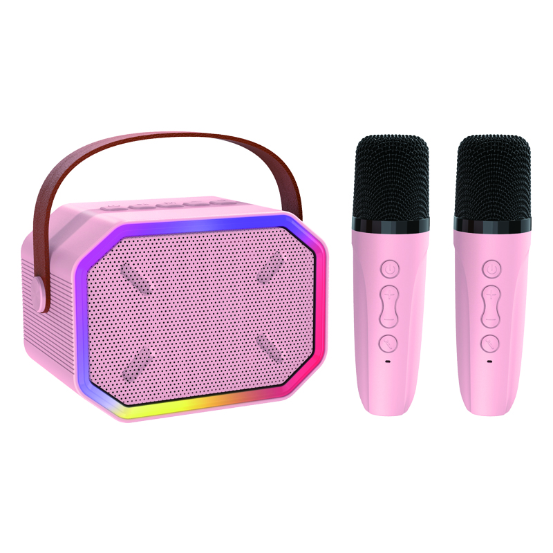 Haut-parleur Bluetooth portable avec 2 microphones sans fil, jouets cadeaux d'anniversaire pour filles âgées de 4, 5, 6, 7, 8,9, 10, 11, 12 ans et plus 